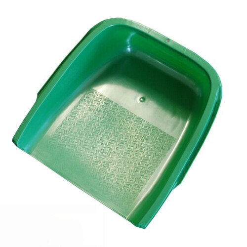 てみ グリーン　小