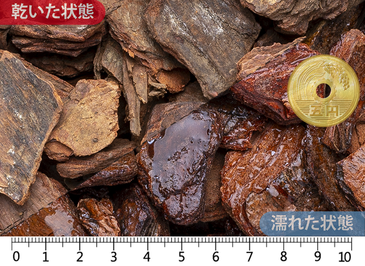 パインバーク L(25-50mm)